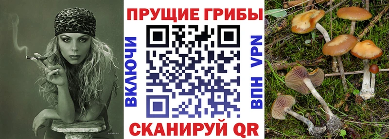 Псилоцибиновые грибы Magic Shrooms  Сибай 