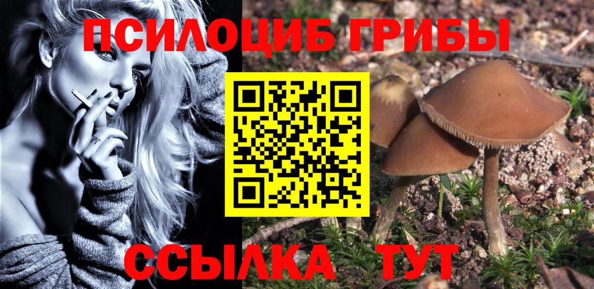 Галлюциногенные грибы Cubensis  как найти закладки  Сибай 