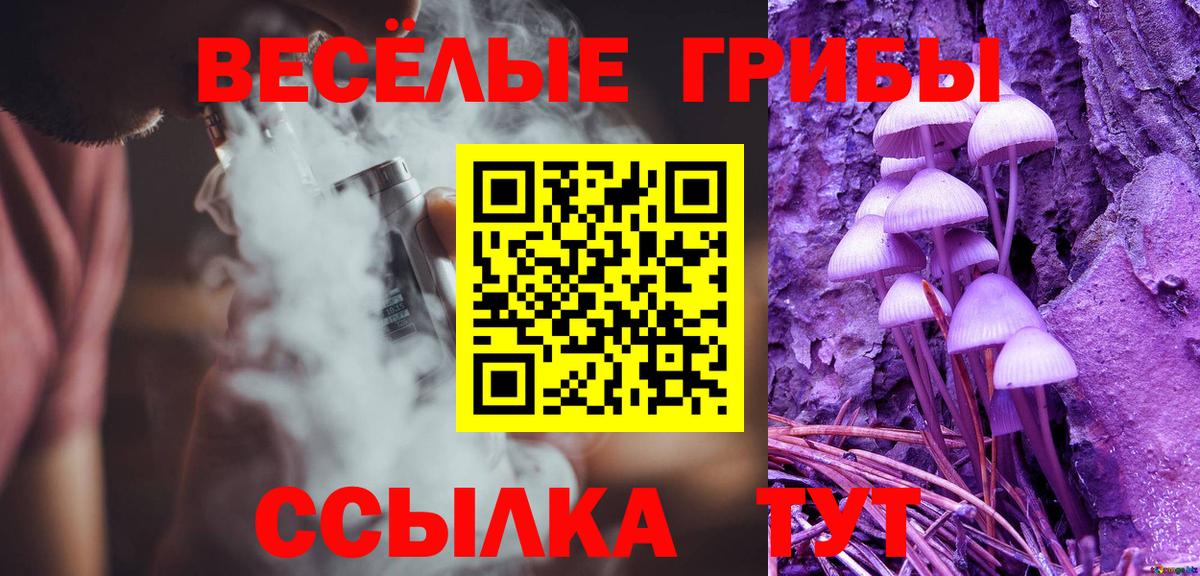 Псилоцибиновые грибы GOLDEN TEACHER  Псилоцибиновые грибы Magic Shrooms  Сибай  Вход с VPN 