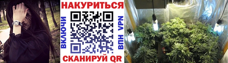 Конопля ГИДРОПОН  Сибай 