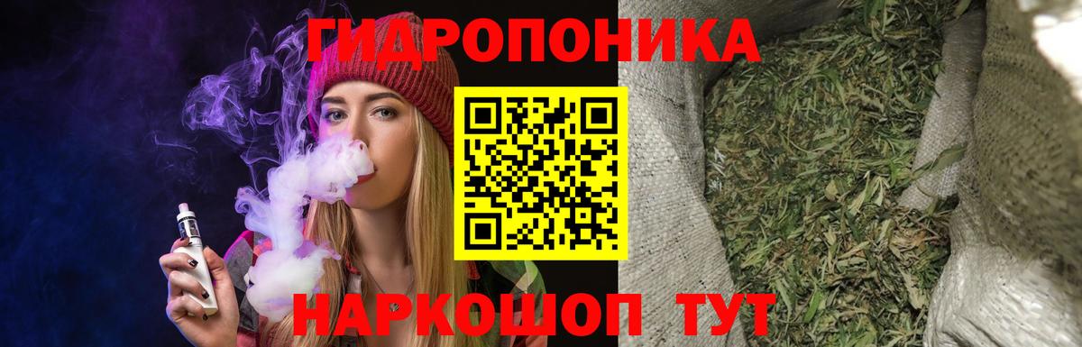 Бошки марихуана White Widow  Конопля конопля  Сибай  Канабис марихуана 